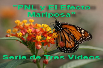 PNLyEfectoMariposa